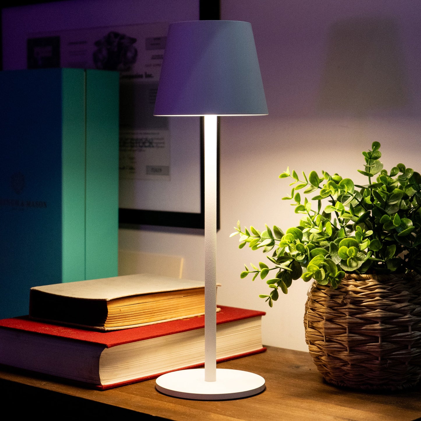 LED touch lamp, plastic lamp white